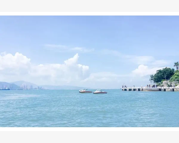 心悸气血不足:中医角度解读与调理